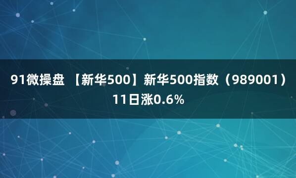 91微操盘 【新华500】新华500指数（989001）11日涨0.6%