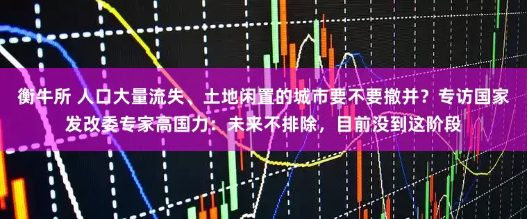 衡牛所 人口大量流失、土地闲置的城市要不要撤并？专访国家发改委专家高国力：未来不排除，目前没到这阶段