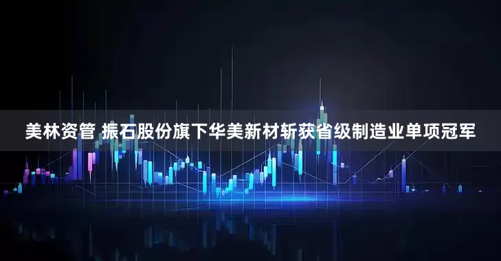 美林资管 振石股份旗下华美新材斩获省级制造业单项冠军