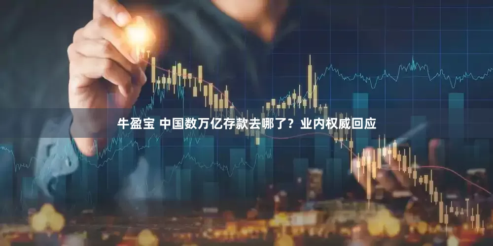 牛盈宝 中国数万亿存款去哪了？业内权威回应