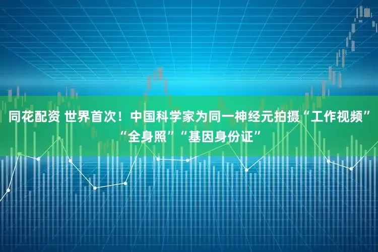 同花配资 世界首次！中国科学家为同一神经元拍摄“工作视频”“全身照”“基因身份证”
