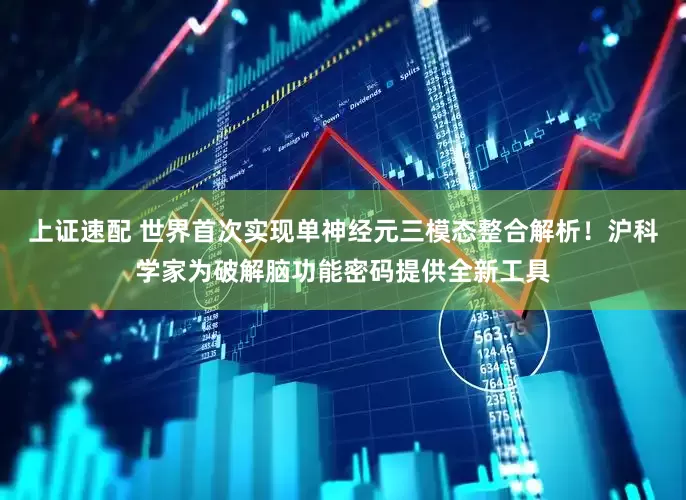 上证速配 世界首次实现单神经元三模态整合解析！沪科学家为破解脑功能密码提供全新工具